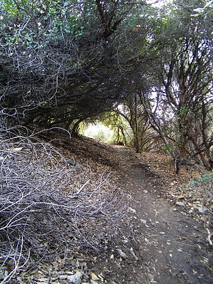 feature photo