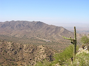 feature photo