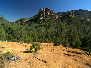 feature photo