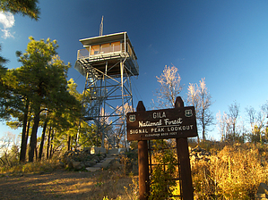 feature photo