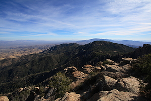 feature photo