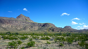 feature photo
