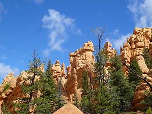 feature photo