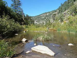 feature photo