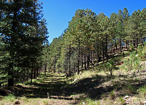 feature photo