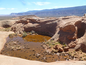 feature photo