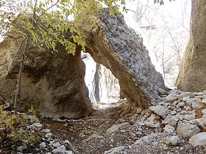 feature photo