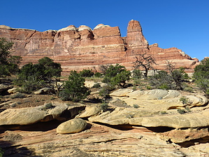 feature photo