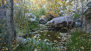 feature photo