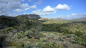 feature photo