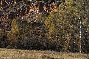 feature photo