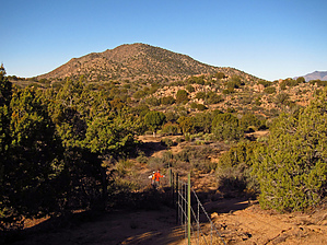 feature photo
