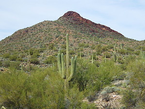 feature photo