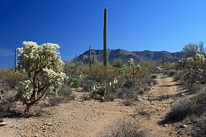 feature photo