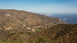 feature photo