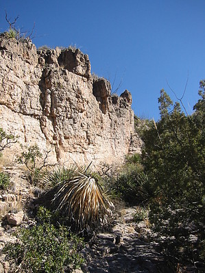 feature photo