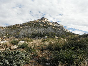 feature photo