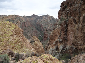 feature photo