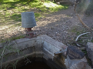 feature photo