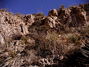 feature photo
