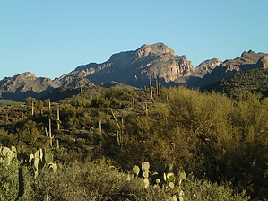 feature photo