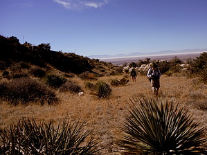 feature photo