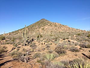 feature photo