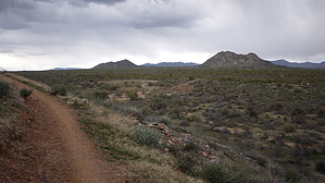 feature photo