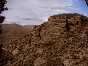 feature photo