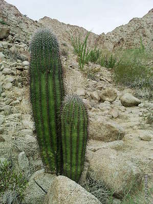feature photo