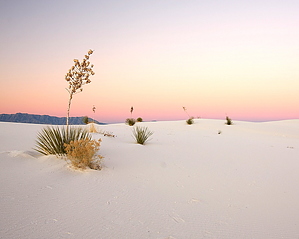 feature photo