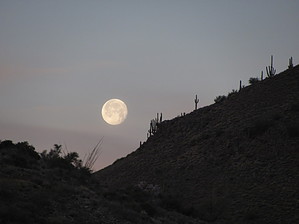 feature photo