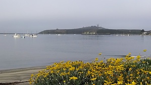 feature photo
