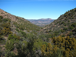 feature photo