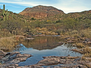 feature photo