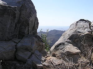 feature photo