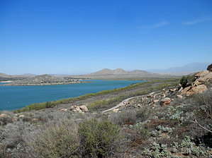 feature photo