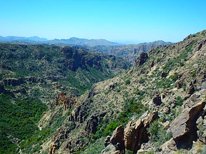 feature photo