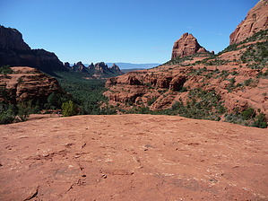 feature photo