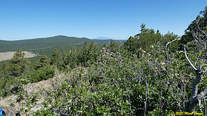 feature photo
