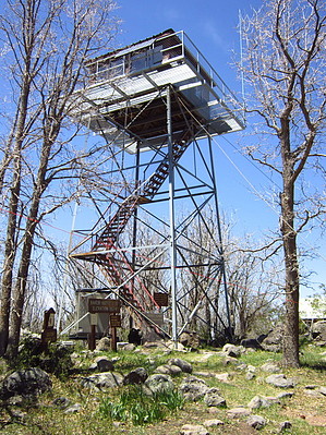 feature photo