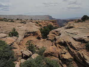 feature photo