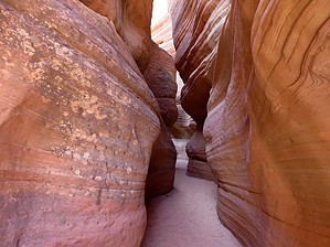 feature photo