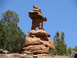 feature photo