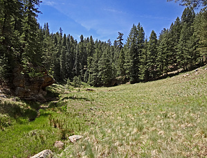 feature photo