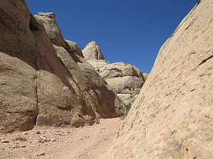 feature photo