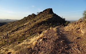 feature photo