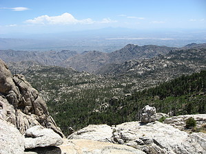 feature photo