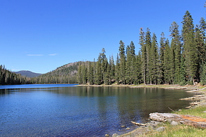feature photo