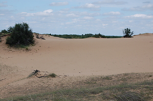 feature photo